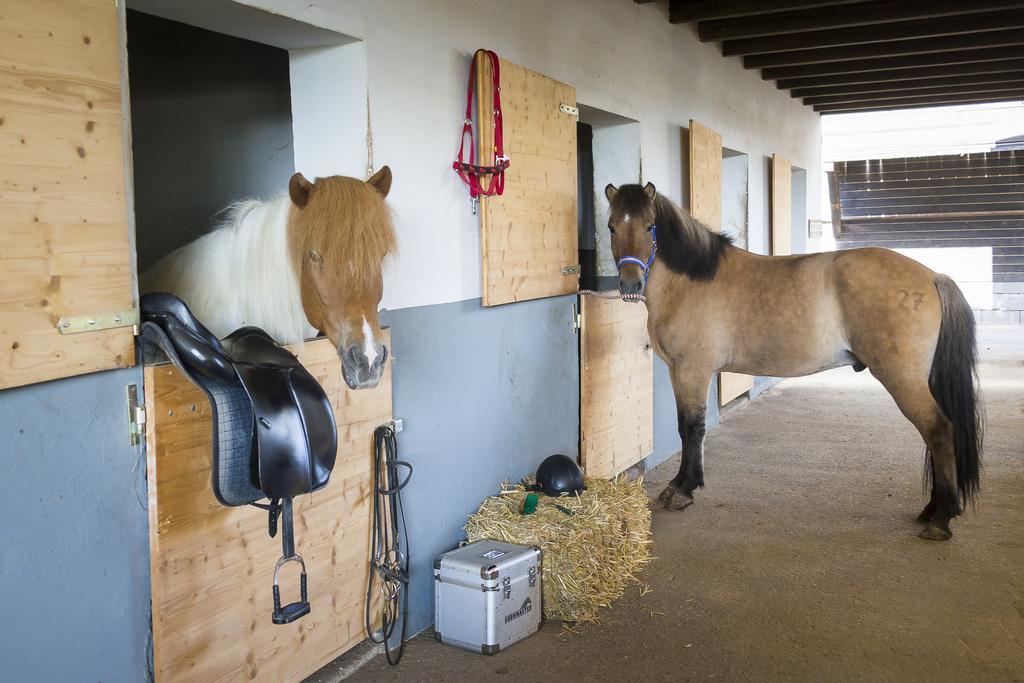 Hotel Reitzentrum Hausruckhof Ampflwang im Hausruckwald المظهر الخارجي الصورة