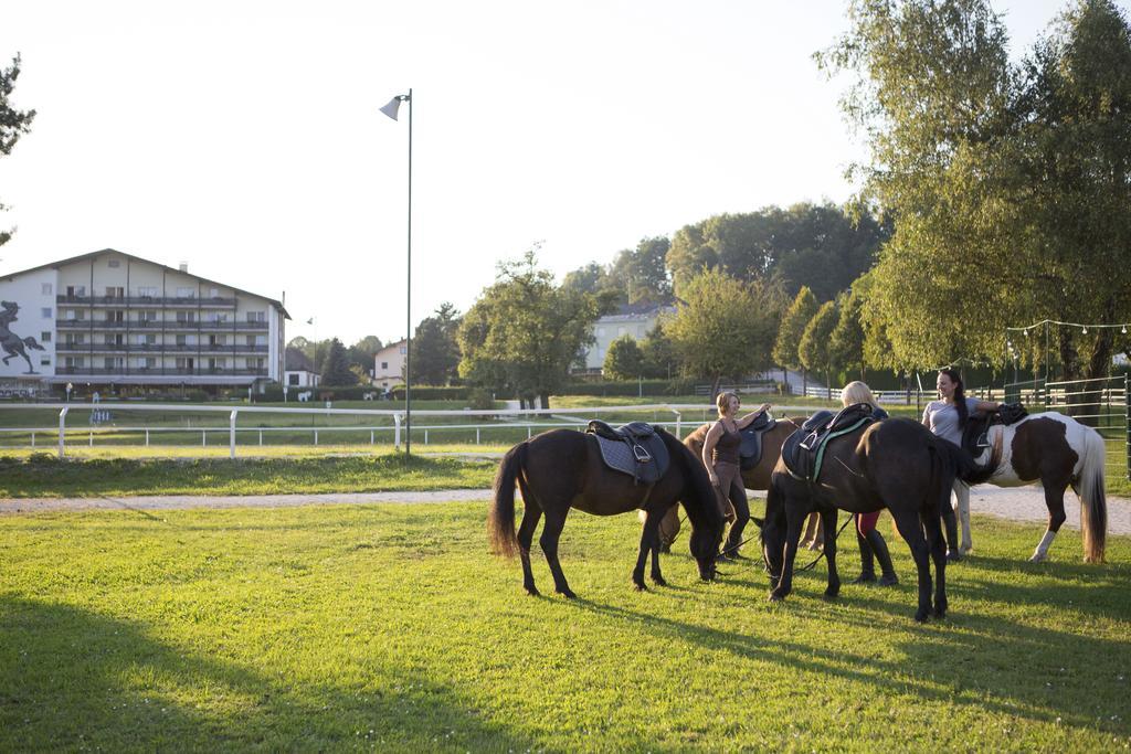 Hotel Reitzentrum Hausruckhof Ampflwang im Hausruckwald المظهر الخارجي الصورة